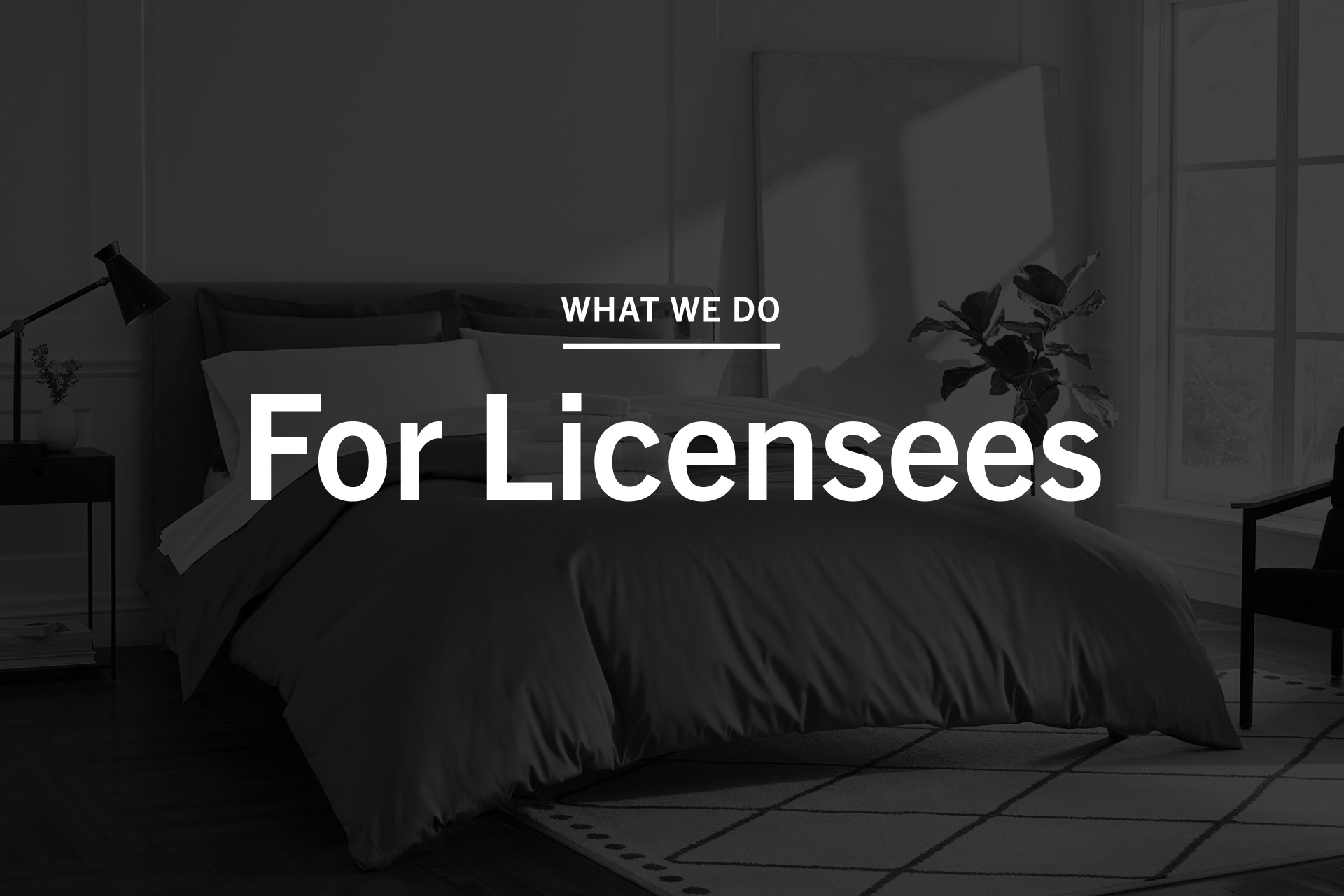 what-we-do_hovers_licensees-5